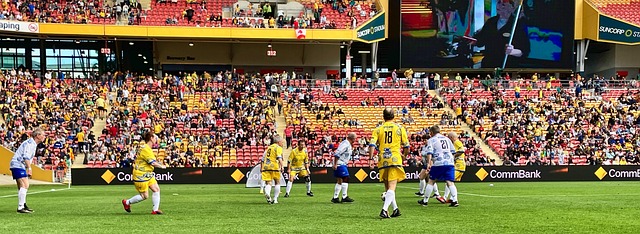 陈涛：我对新鹏城有很深的情感，但很多东西需要的是双向奔赴