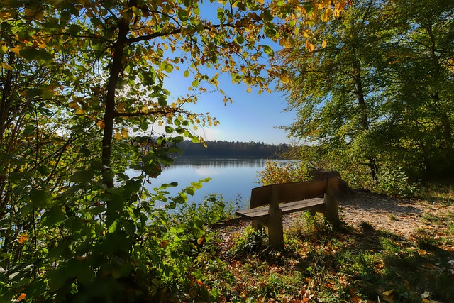 马尔科-席尔瓦：连赢两场给我们信心去改写对曼城糟糕的战绩