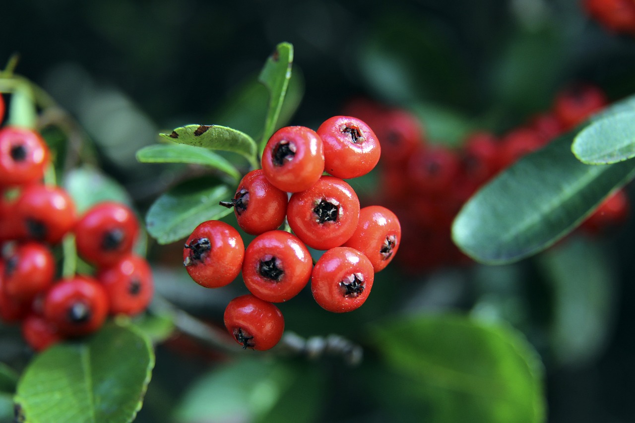 帕尔特伊听证会法院外，有抗议者举横幅批评阿森纳不作为