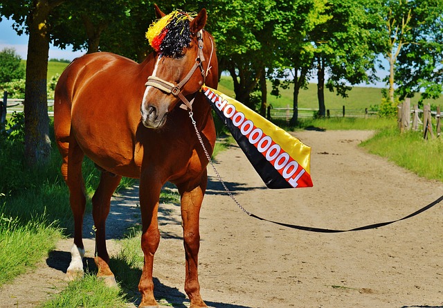 凯拉特主帅：我们看了大量比赛录像，深入研究了奥林匹亚科斯